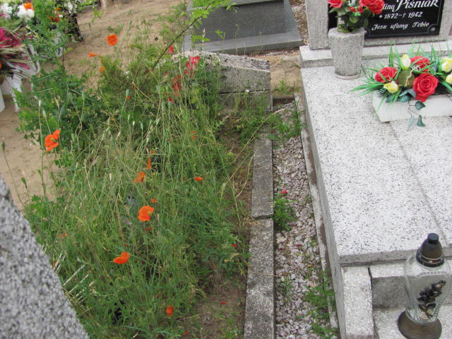 Zenon Libera 1967 Przystajń - Grobonet - Wyszukiwarka osób pochowanych