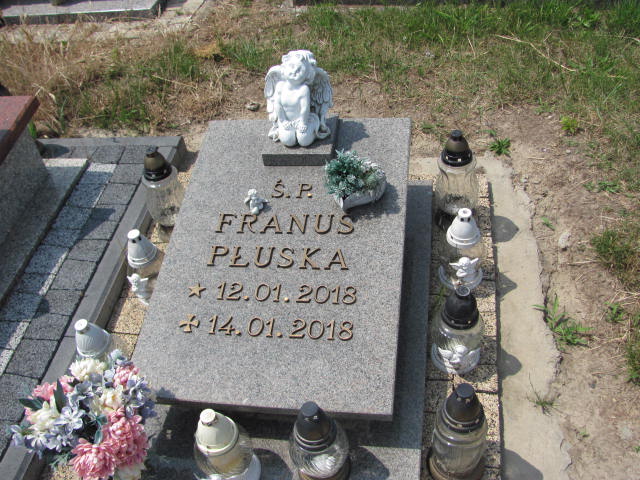 Grób Franciszek Płuska
